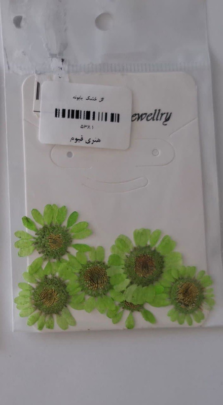 گل خشک بابونه