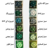 رنگ شمع مکعبی سیما