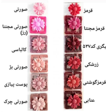 رنگ شمع مکعبی سیما